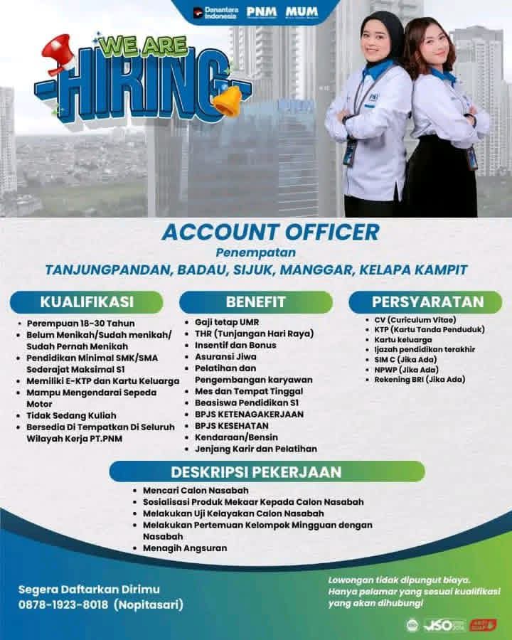 Flyer Account Officer - PNM